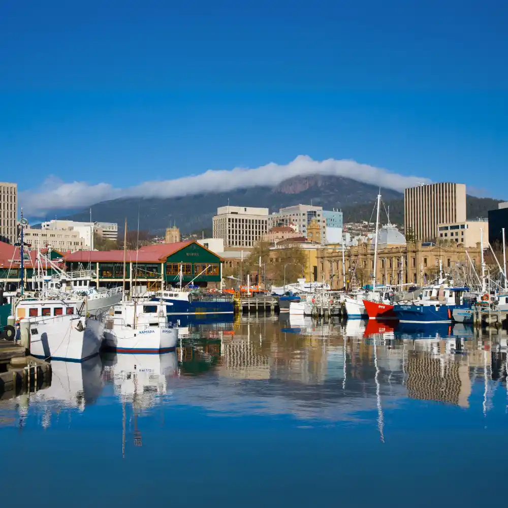 2-ezgif.com-png-to-webp-converter (2)